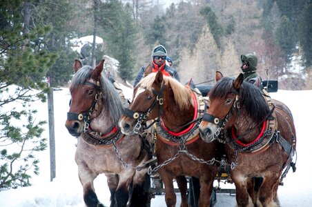 Slide winter landscape horses