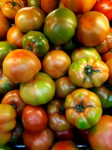 Tomates verde 2017 B