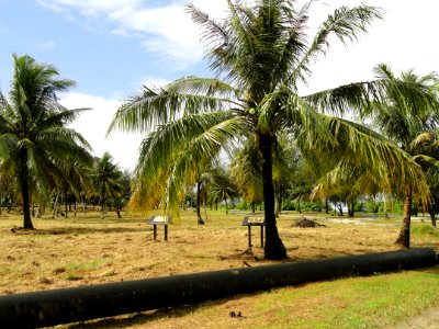Tanguisson Beach Park, Guam - DSC01127