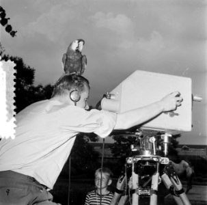 Televisieopname in Artis, Bestanddeelnr 905-2092