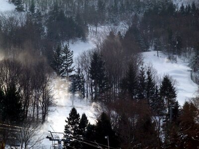 Winter ski forest