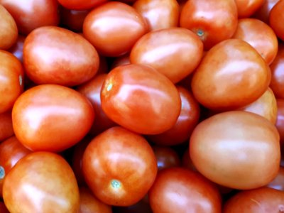 Tomates pera 2017 B2