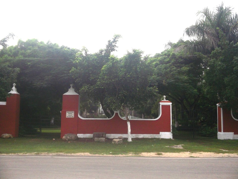 Tanil, Yucatán (05)