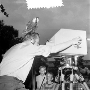 Televisieopname in Artis, Bestanddeelnr 905-2089