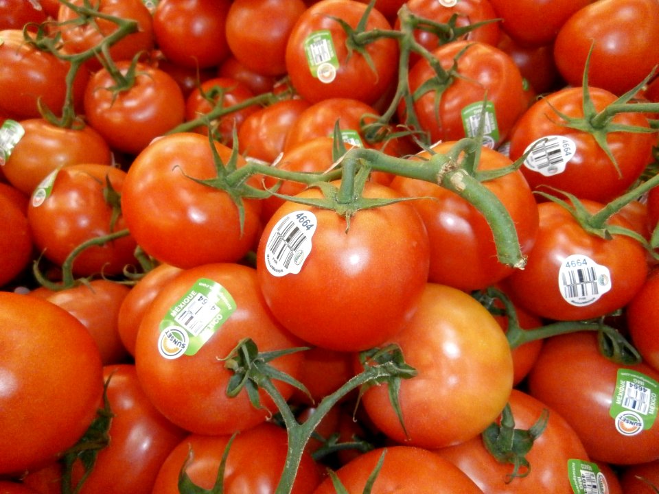 Tomato pile