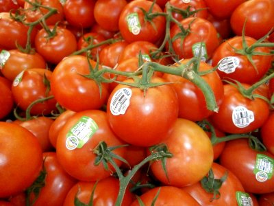 Tomato pile photo