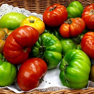 Tomates Marmalin 2017 A3