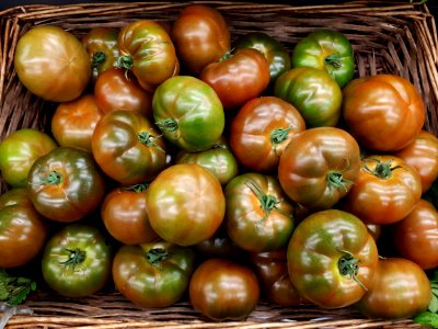 Tomate Ibérico 2017 A2
