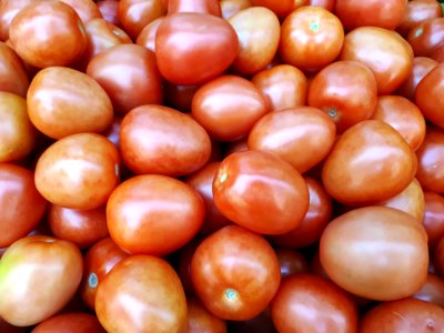 Tomates pera 2017 B1