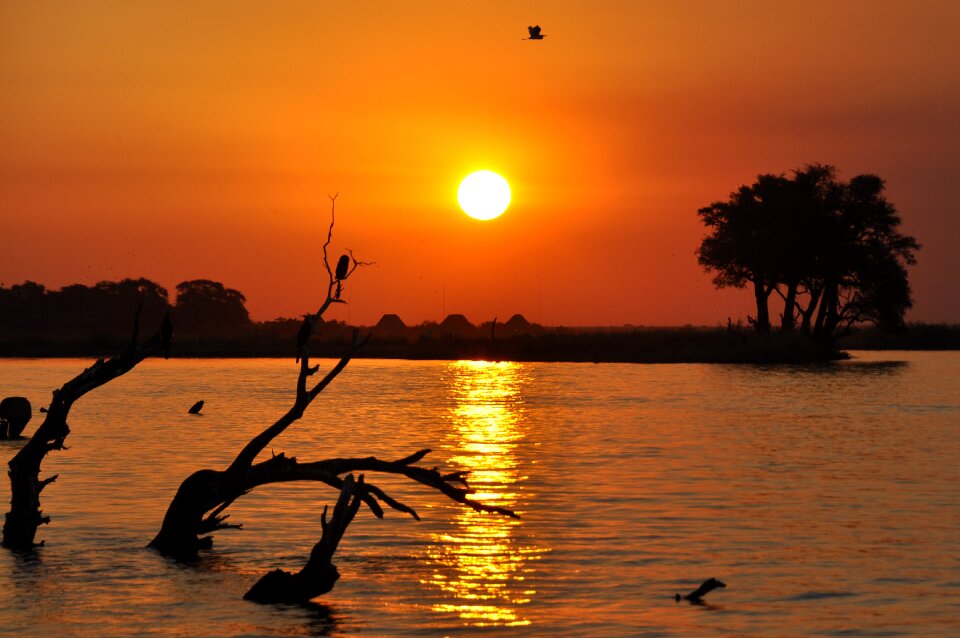 Botswana sunset chobe