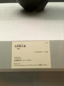 Tokyo National Museum Japanese ceramics 2018 (004)