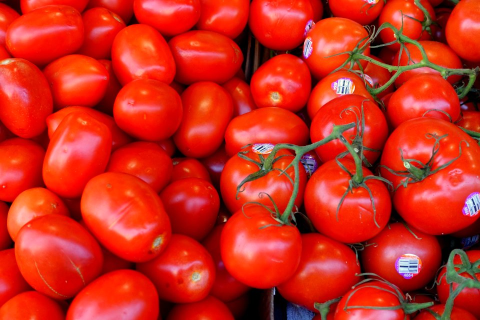 Tomatoes - San Francisco, CA - DSC02390