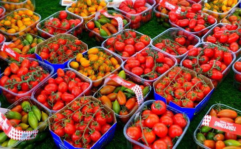 Tomatos - Campo de' Fiori - Rome, Italy - DSC01655