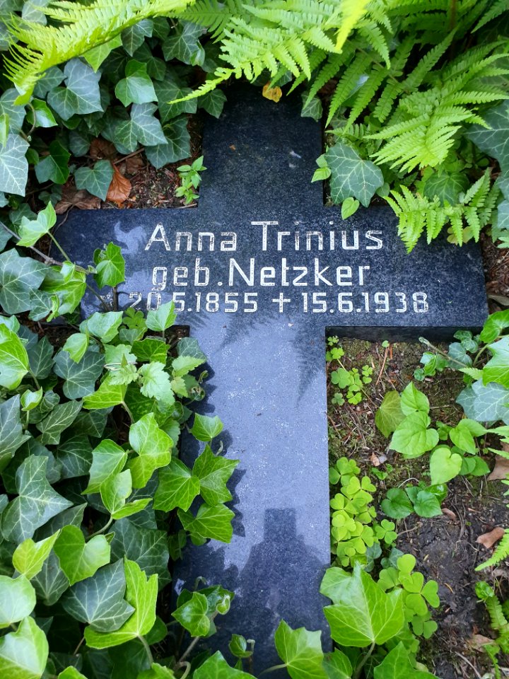 Tomb August Trinius 5