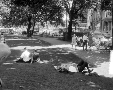 Toeristen en Amsterdammers zoeken de schaduw op in het plantsoen bij Prins Hendr, Bestanddeelnr 916-8096