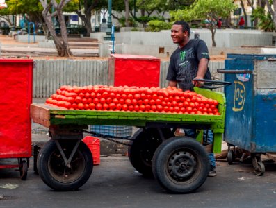 Tomato seller photo