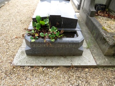 Tombe de Francis Pélissier - 03