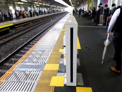 Tokyu-miyamaedaira-homedoor20151016a