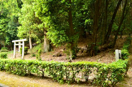 Tomb of Princess Otomo, funkyu-1
