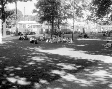 Toeristen en Amsterdammers zoeken de schaduw op in het plantsoen bij Prins Hendr, Bestanddeelnr 916-8100
