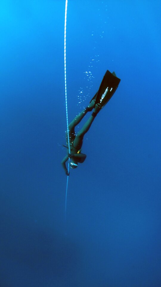 Dive diving ocean