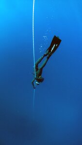 Dive diving ocean photo
