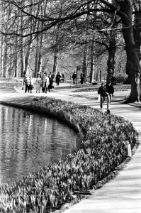 Toeristen, wandelend over de Keukenhof, Bestanddeelnr 930-2115