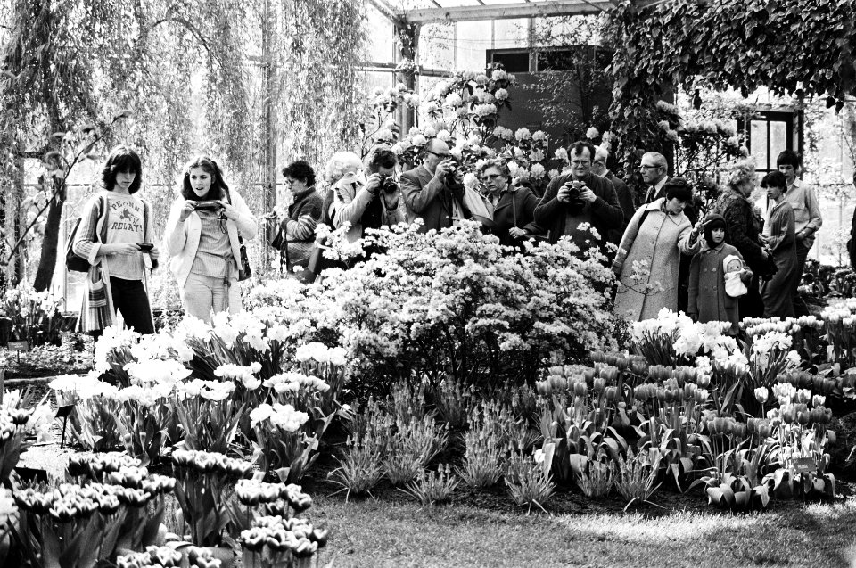 Toeristen, wandelend over de Keukenhof, Bestanddeelnr 930-2116