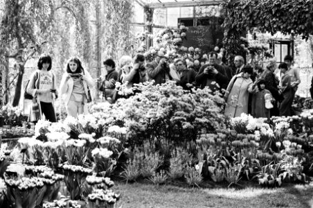 Toeristen, wandelend over de Keukenhof, Bestanddeelnr 930-2116
