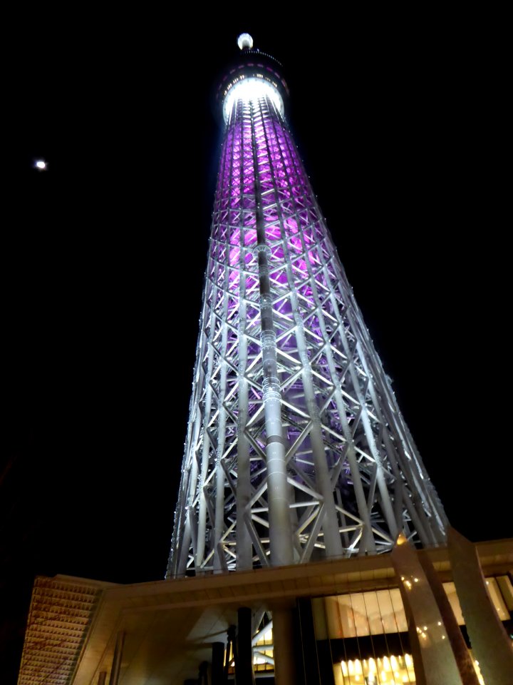 Tokyo Sky Tree at night (1)