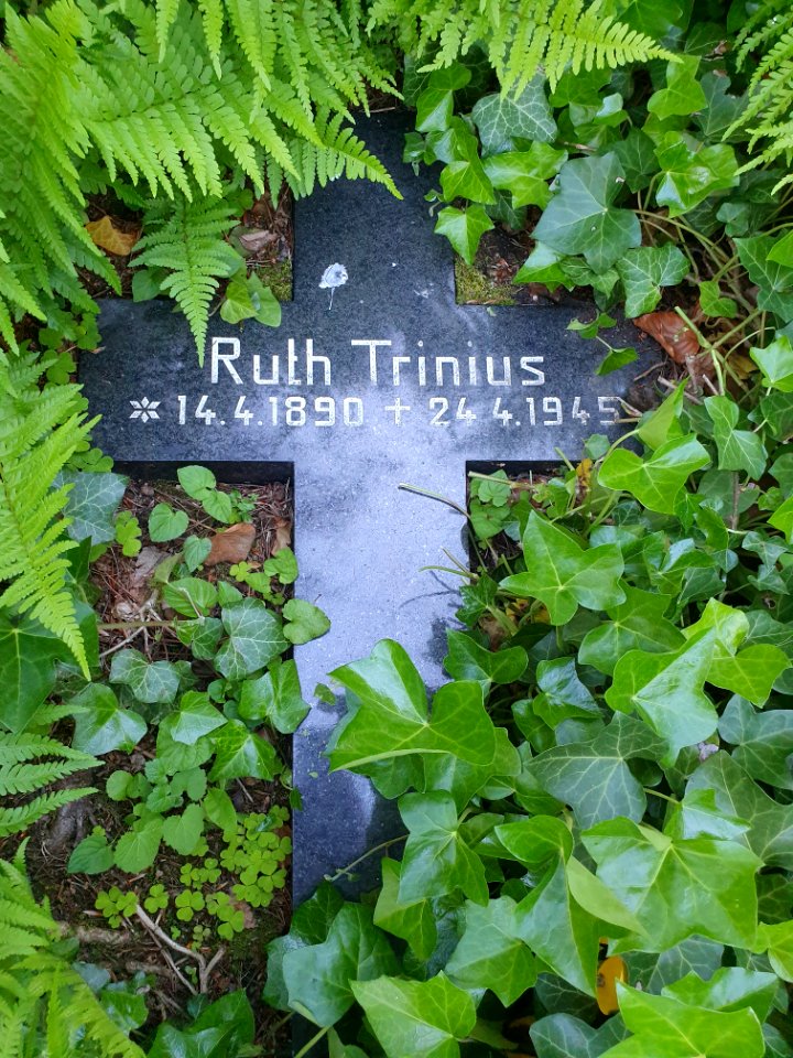 Tomb August Trinius 6