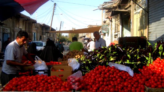 Tomato and eggplant (Brinjal) - Firut vendor in Cotton-beating Bazaar of Nishapur at morning 01