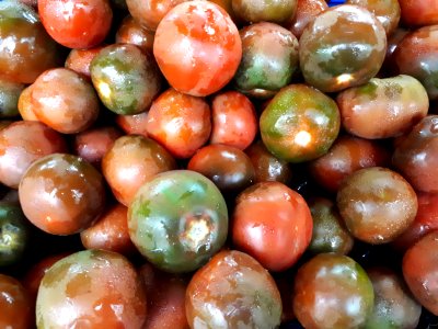 Tomate Kumato 2017 A