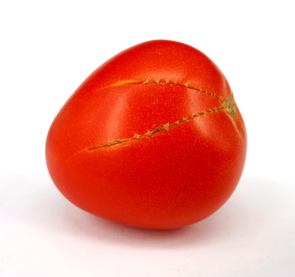 Tomate pera 2017 H