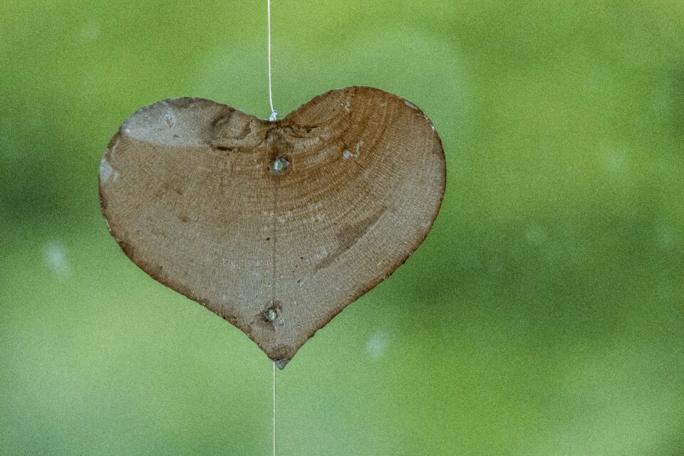 Decoration love valentine's day