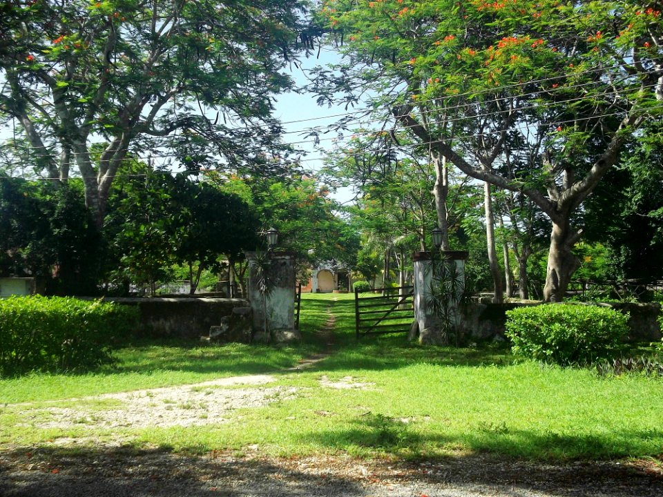 Tohopkú (Tekal de Venegas), Yucatán (03)