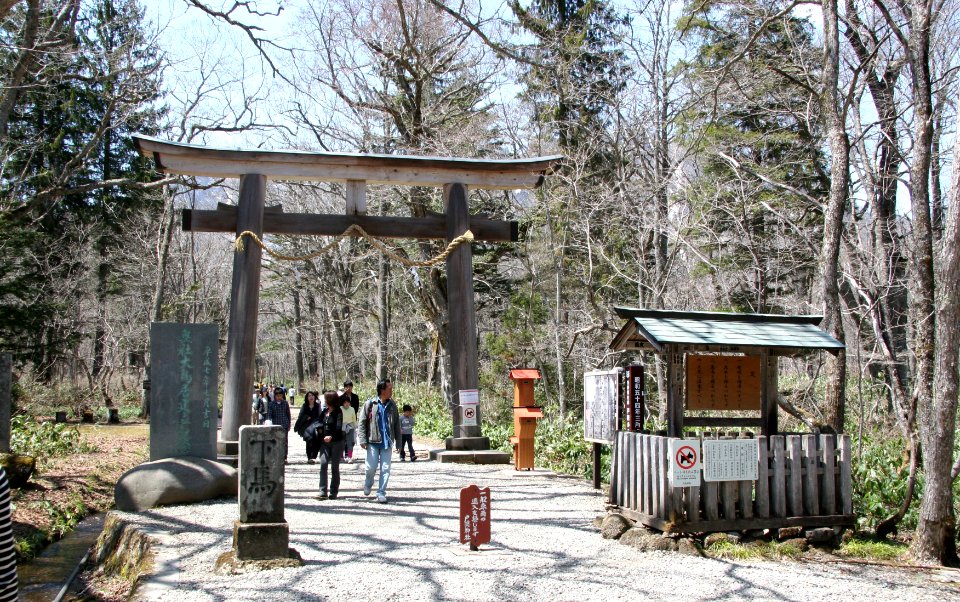 Togakushi Shrine Okusha Oo-Torii