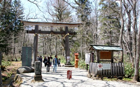 Togakushi Shrine Okusha Oo-Torii