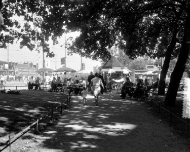 Toeristen en Amsterdammers zoeken de schaduw op in het plantsoen bij Prins Hendr, Bestanddeelnr 916-8097