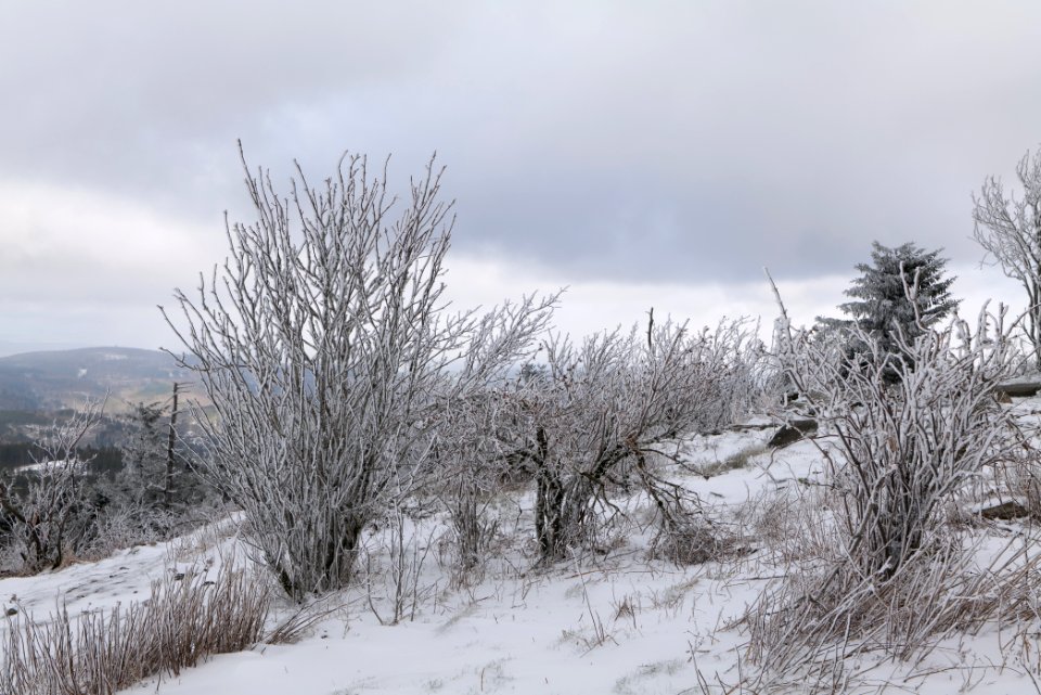 Top of Großer Feldberg with snow 2021-04-06 20