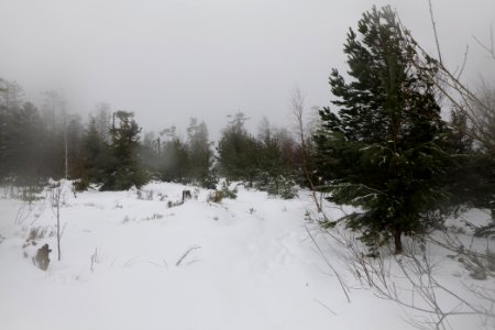 Top of Badener Höhe with snow 2020-03-10 10