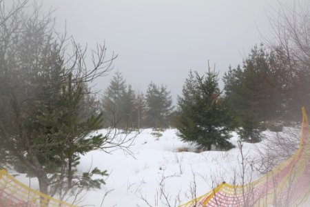 Top of Badener Höhe with snow 2020-03-10 06