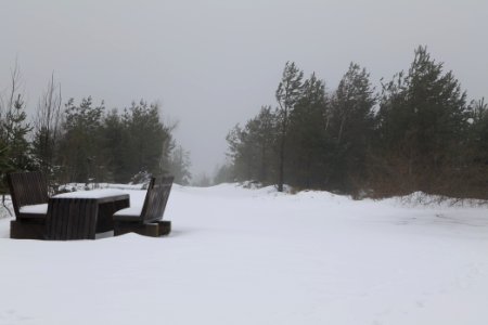 Top of Badener Höhe with snow 2020-03-10 03