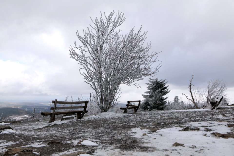 Top of Großer Feldberg with snow 2021-04-06 26