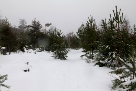 Top of Badener Höhe with snow 2020-03-10 16