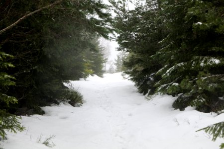 Top of Badener Höhe with snow 2020-03-10 35