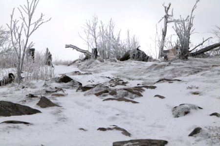 Top of Großer Feldberg with snow 2021-04-06 14