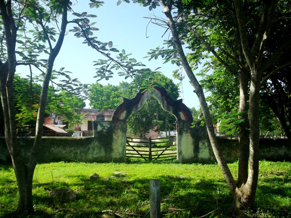 Tohopkú (Tekal de Venegas), Yucatán (02)