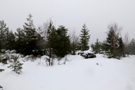 Top of Badener Höhe with snow 2020-03-10 17