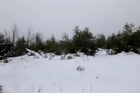 Top of Badener Höhe with snow 2020-03-10 01